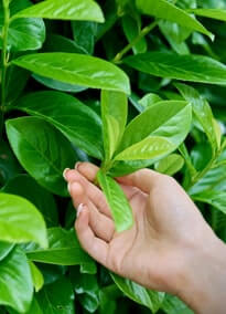 Card image about Integrated Care 1