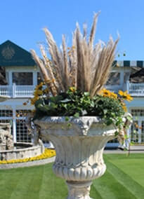 Card image about Client Care 3