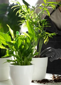 Card image about Select Design Services 1