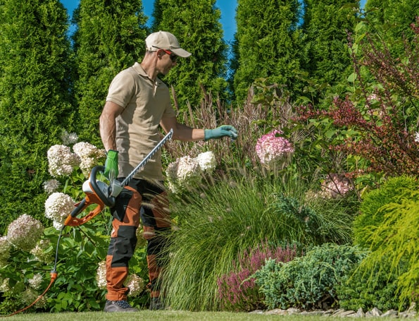 Indoor landscape creation and maintenance